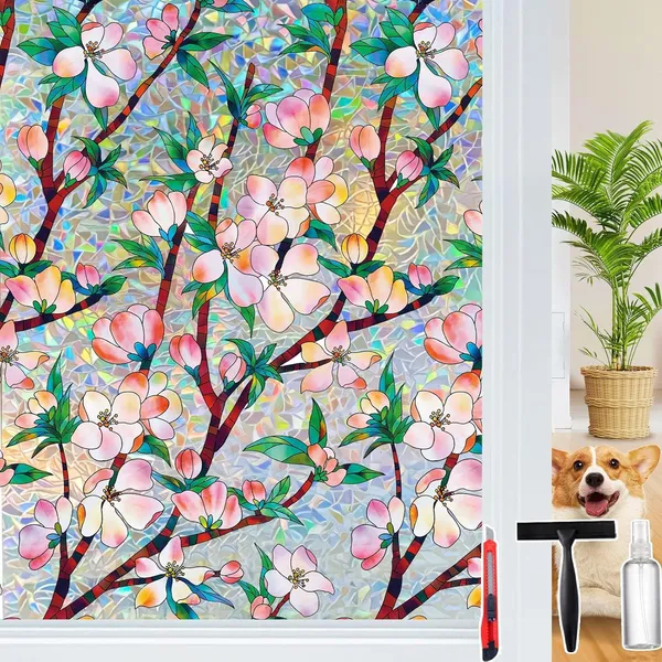 Dwersty Rainbow Film – Pink Blossom